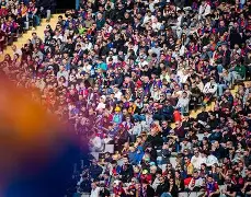 阿拉维斯主场失利，保级形势严峻的简单介绍